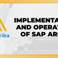 Implementation and Operation of SAP Ariba