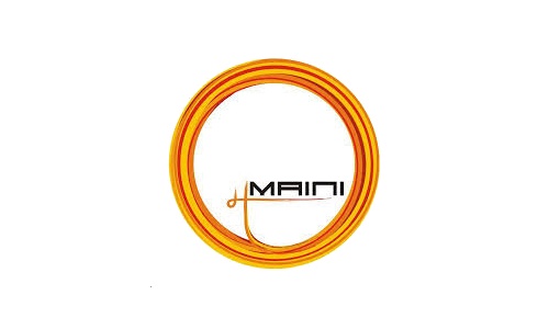 Maini Precision Products Limited