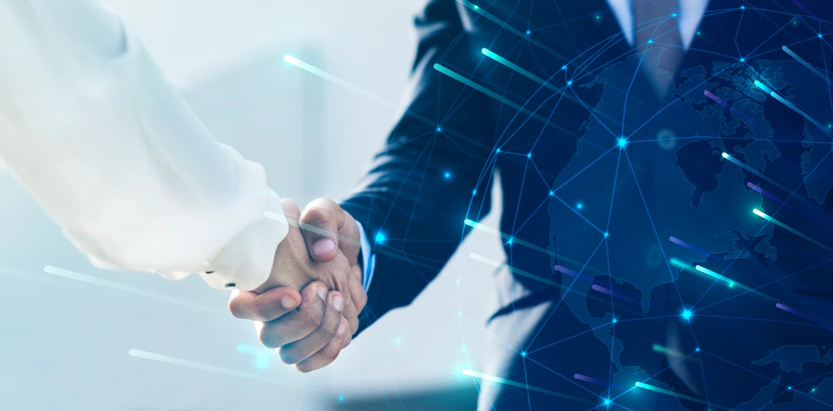 SAP consultant