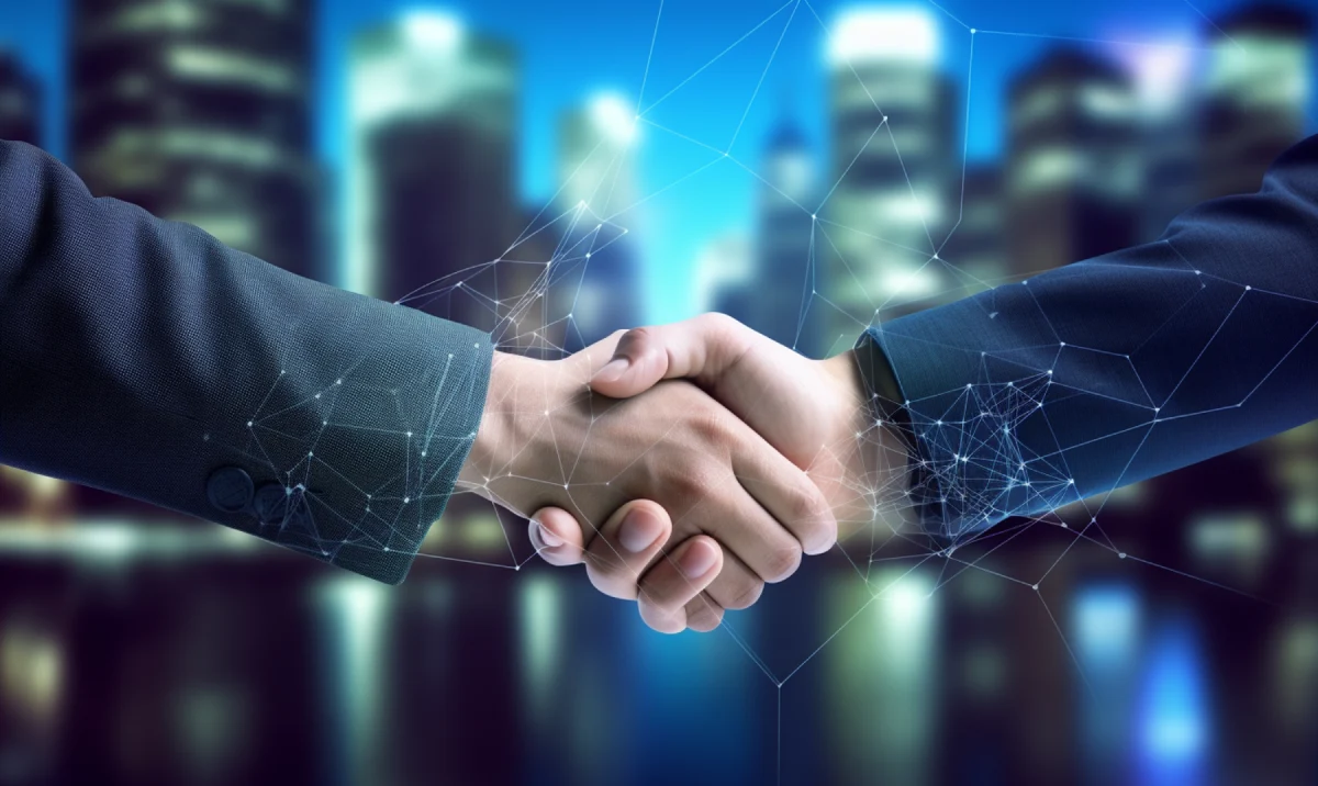 ERP implementation partner